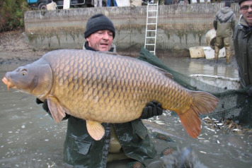 Netting Brocard Small - 1