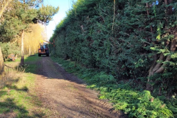 Some fresh news from Laroussi - 6