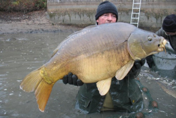 Netting Brocard Small - 6