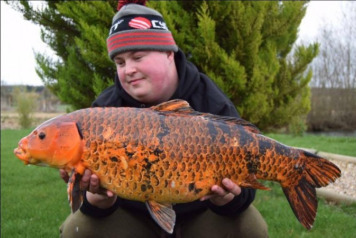 â˜…â˜…â˜… Deux Ã®les report to 18 March â˜…â˜…â˜… - 3