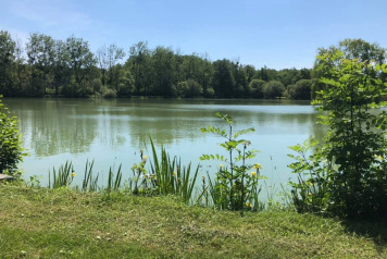 A walk round the lake - 2