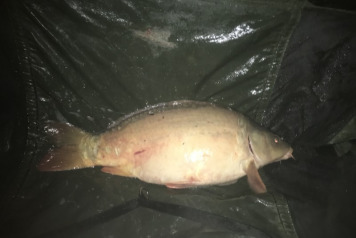 Festive fun at Lillybelle  - 7