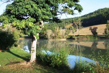 Review by the Rangers Fishing Team - 4