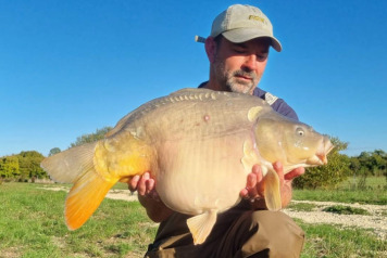 MEGA WEEK AGAIN!!! - 17