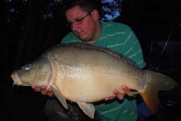 And yet more.... - 6