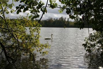 Nice and Easy Does It - 2