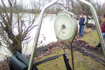 Netting and Additional Stocking 2017 - 6