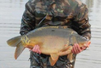 Additional carp stocked - 2