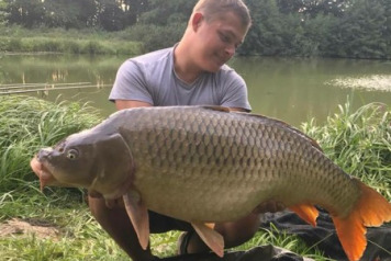 Catch report from 19/8/17 to 26/8/17 - 1