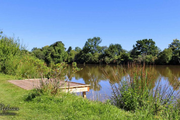 All Decked Swims Finished on The Willow Bank. - 1