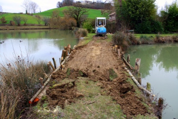 Constant battle with contemptible Coypu! - 6