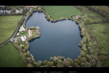 Laroussi dyed last week - 2