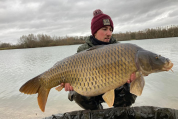 Additional commons - 6