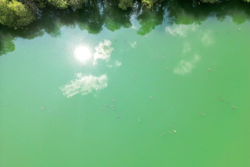 A couple of photos - 1