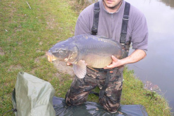 Additional stock added ! - 1