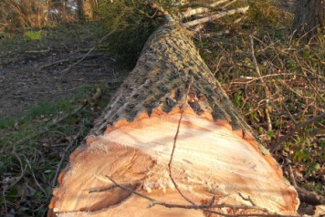 Winter Improvements and Fishing News  - 4