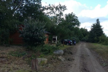Tree Felling at Old Oaks - 2