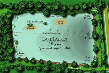 Two More Decked Swims Go In. - 1