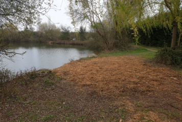 Winter work and news - 3