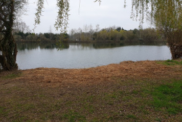 Winter work and news - 4