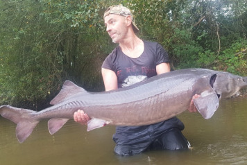 A September Week on Villefond - 6