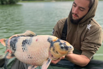 Koi at Fullys Lake - 5