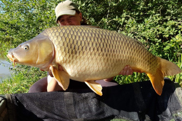 Catch report 1.8.20 to 8.8.20 - 3