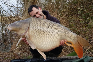 First Session of 2020 - 1