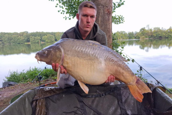 An Excellent Week - 3