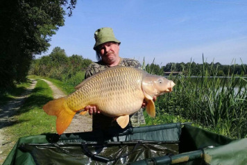 September Round-Up - 6