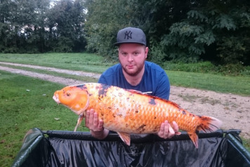 September Round-Up - 3