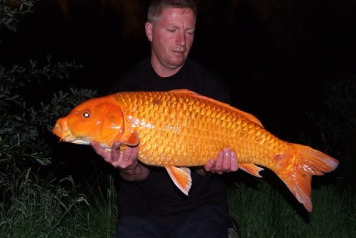 New lake record KoÃ® - 1