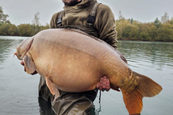 November Session - 1