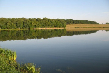 Questions and Answers - 2