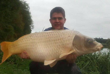 October Round-Up - 5