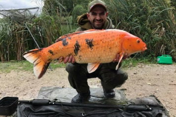 October Round-Up - 6