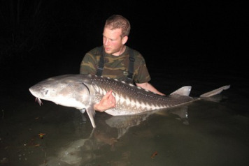 Vaumigny Stars in Sturgeon Documentary - 6