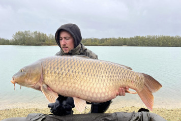 An Additional 7 Carp - 1