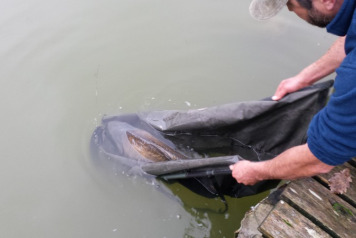 Lazy Sunday Afternoon - 2