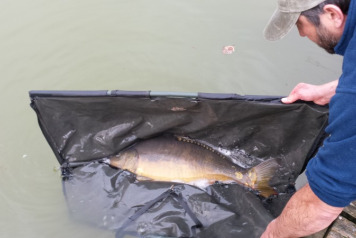 Lazy Sunday Afternoon - 4