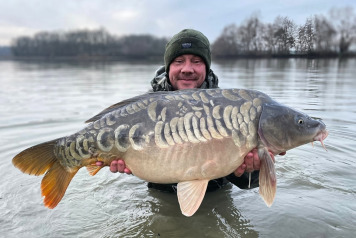 Additional Stocking - 4