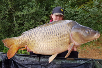 Catch report 1.8.20 to 8.8.20 - 1