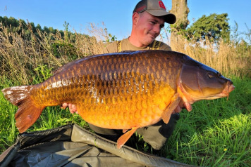 Some fresh news from Laroussi - 1