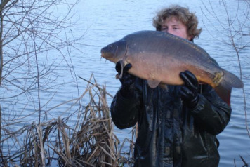 More carp stocked at Lillypool - 4