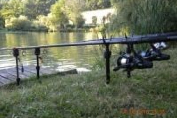 Lotus lake produces a 41lb carp for 12 year old Jake - 2