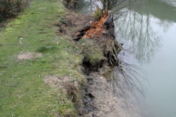 Constant battle with contemptible Coypu! - 3