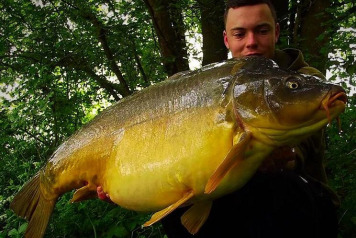 A Great Week for Swim 11 - 1