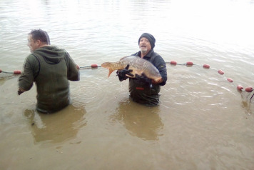 Netting and Additional Stocking 2017 - 1