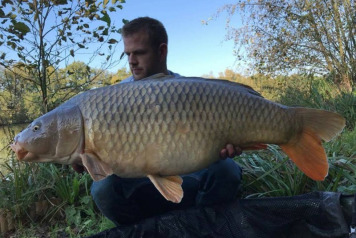 Catch report from 14/10/17 to 21/10/17 - 2