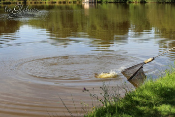 Lake William Fishing with Sam. - 2